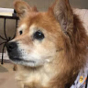 Meet your Posher, Margaret